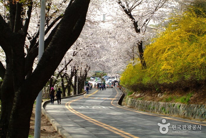 南山公園