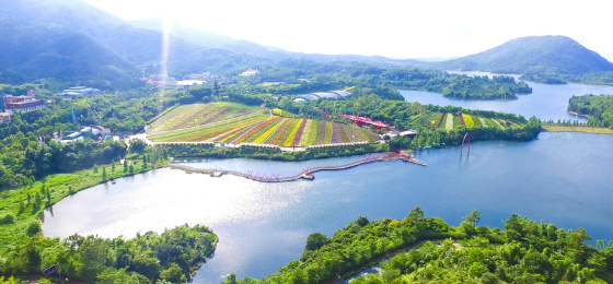 深圳好去處2024-深圳景點-東部華僑城