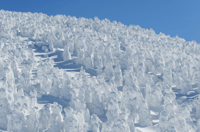 日本雪祭-山形縣-藏王樹冰祭