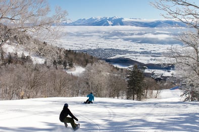 富良野滑雪場