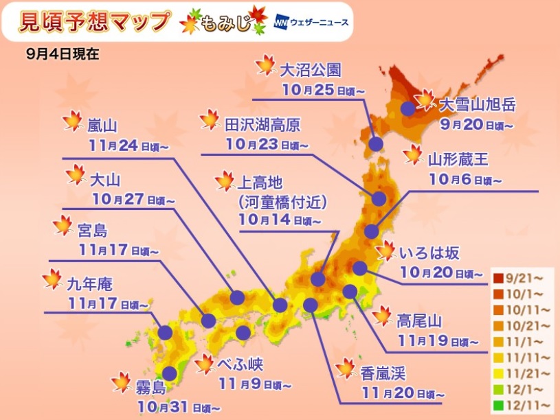 Autumn Leave whole Japan