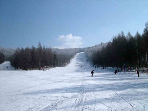 亞布力滑雪旅遊度假區