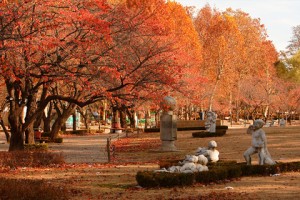 首爾兒童大公園