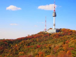 南山公園