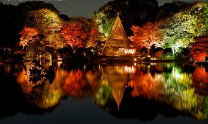 2018六義園紅葉情報