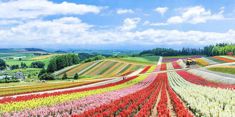 4月：日本（北海道）