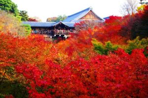 2018東福寺紅葉情報