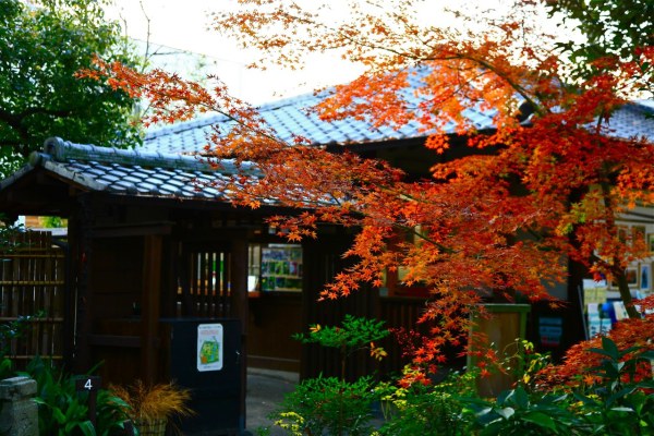 向島百花園