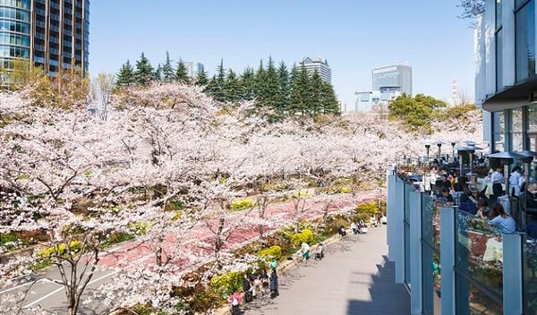 Tokyo Midtown