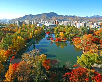 2018中島公園紅葉情報