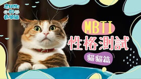 🐱 解密你家主子的性格密碼！【貓界的MBTI測試!】