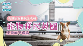 【英國 | BLOG】香港帶動物由香港移民到英國手續 - 出發前準備